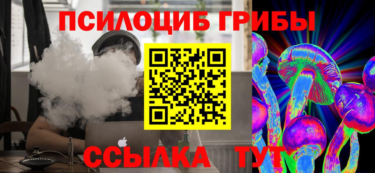 Псилоцибиновые грибы прущие грибы  Вход с VPN  Артём  Псилоцибиновые грибы мухоморы 