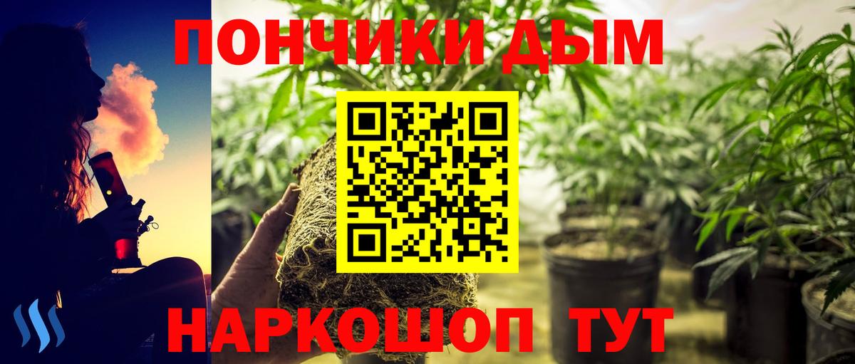 Каннабис семена Артём